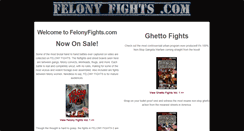 Desktop Screenshot of felonyfights.com