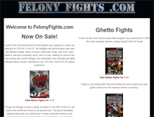 Tablet Screenshot of felonyfights.com